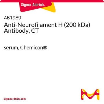 Anticuerpo anti-neurofilamento H (200&nbsp;kDa), TC serum, Chemicon&#174;