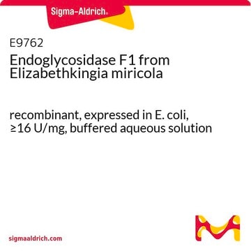 Endoglycosidase F1 recombinant, expressed in E. coli, &#8805;16&#160;U/mg, buffered aqueous solution