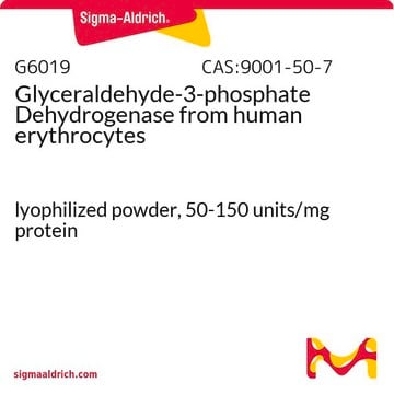 Glyceraldehyde-3-phosphate Dehydrogenase from human erythrocytes lyophilized powder, 50-150&#160;units/mg protein