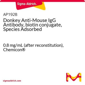 Anticorps d'âne anti-IgG de souris, conjugué à la biotine, espèces adsorbées 0.8&#160;mg/mL (after reconstitution), Chemicon&#174;