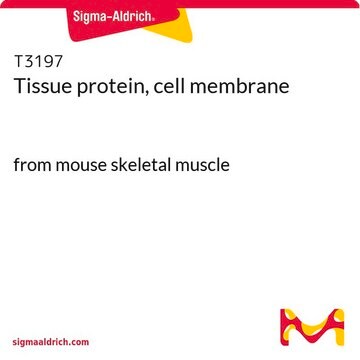 Tissue protein, cell membrane from mouse skeletal muscle