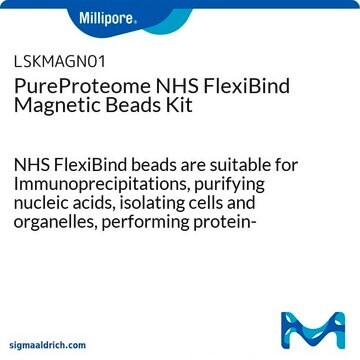 Kit di microsfere magnetiche PureProteome NHS FlexiBind NHS FlexiBind beads are suitable for Immunoprecipitations, purifying nucleic acids, isolating cells and organelles, performing protein-protein interaction studies and many other applications.