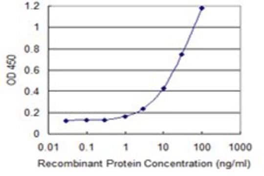 Monoclonal Anti-CLDN12 antibody produced in mouse clone 2D8, purified immunoglobulin, buffered aqueous solution