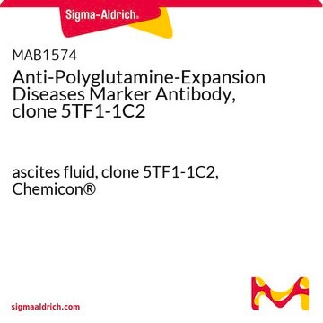 Anti-Polyglutamin-Expansionserkrankungen-Marker-Antikörper, Klon 5TF1-1C2 ascites fluid, clone 5TF1-1C2, Chemicon&#174;