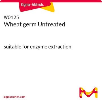 Wheat germ Untreated suitable for enzyme extraction