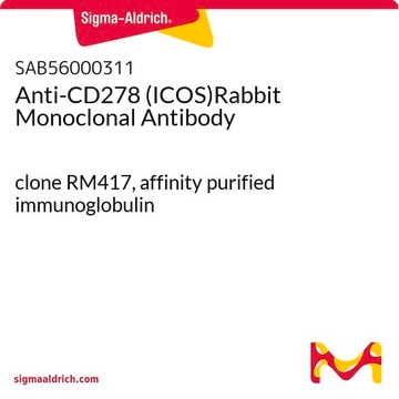 Anti-CD278 (ICOS)Rabbit Monoclonal Antibody clone RM417, affinity purified immunoglobulin