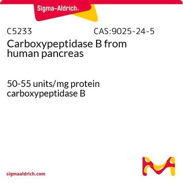 Carboxypeptidase&#160;B from human pancreas 50-55&#160;units/mg protein carboxypeptidase B