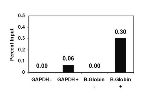 ChIPAb+ Monomethyl-Histone H3 (Lys27) - ChIP Validated Antibody and Primer Set serum, from rabbit