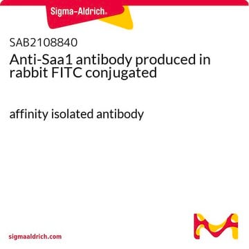 Anti-Saa1 antibody produced in rabbit FITC conjugated affinity isolated antibody