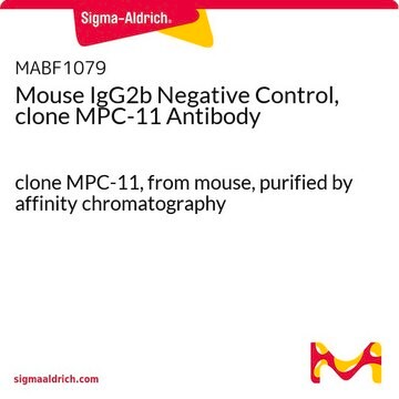 Mouse IgG2b Negative Control, clone MPC-11 Antibody clone MPC-11, from mouse, purified by affinity chromatography