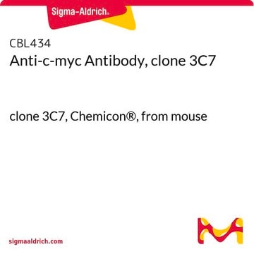 Anticuerpo anti-c-myc, clon 3C7 clone 3C7, Chemicon&#174;, from mouse