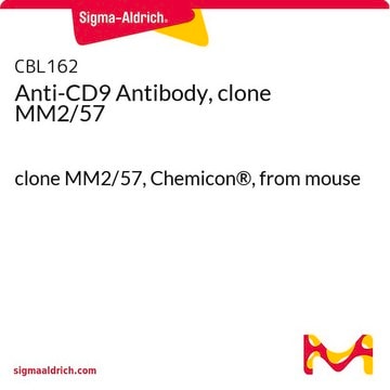 Anti-CD9-Antikörper, Klon&nbsp;MM2/57 clone MM2/57, Chemicon&#174;, from mouse