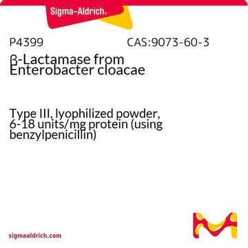 &#946;-Lactamase from Enterobacter cloacae Type III, lyophilized powder, 6-18&#160;units/mg protein (using benzylpenicillin)