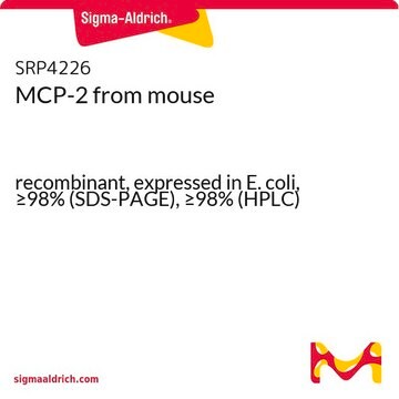 MCP-2 from mouse recombinant, expressed in E. coli, &#8805;98% (SDS-PAGE), &#8805;98% (HPLC)