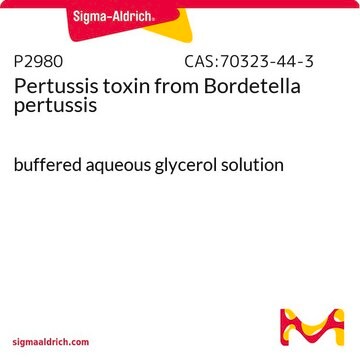 Toxina pertussis from Bordetella pertussis buffered aqueous glycerol solution