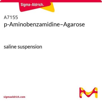 p-Aminobenzamidine–Agarose saline suspension