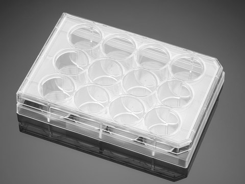 Corning&#174; Falcon&#174; Permeable Support Companion Plate wells, 12, Tissue Culture (TC)-treated surface, lid, sterile