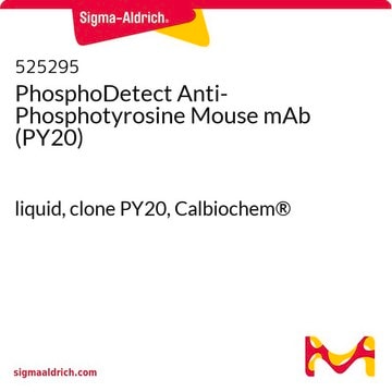 PhosphoDetect Anti-Phosphotyrosine Mouse mAb (PY20) liquid, clone PY20, Calbiochem&#174;