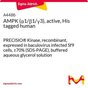 AMPK (&#945;1/&#946;1/&#947;3), active, His tagged human PRECISIO&#174; Kinase, recombinant, expressed in baculovirus infected Sf9 cells, &#8805;70% (SDS-PAGE), buffered aqueous glycerol solution