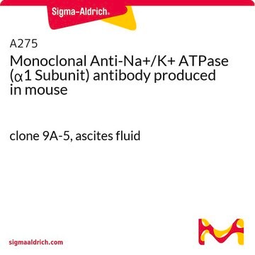 Monoclonal Anti-Na+/K+ ATPase (&#945;1 Subunit) antibody produced in mouse clone 9A-5, ascites fluid