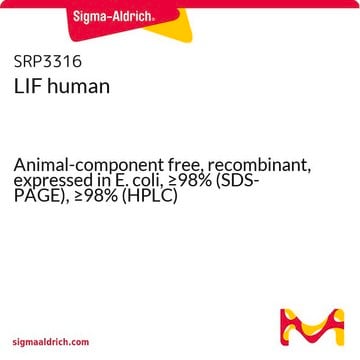 LIF human Animal-component free, recombinant, expressed in E. coli, &#8805;98% (SDS-PAGE), &#8805;98% (HPLC)