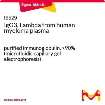 IgG3, Lambda from human myeloma plasma purified immunoglobulin, &gt;90% (microfluidic capillary gel electrophoresis)