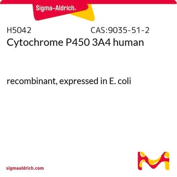 Cytochrome P450 3A4 human recombinant, expressed in E. coli