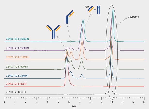 HPLC Analysis of Cetuximab Antibody Fragments from Papain Digestion on Zenix&#174; SEC-150 application for HPLC