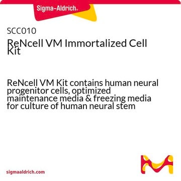 Kit mit immortalisierten ReNcell-VM-Zellen ReNcell VM Kit contains human neural progenitor cells, optimized maintenance media &amp; freezing media for culture of human neural stem cells.