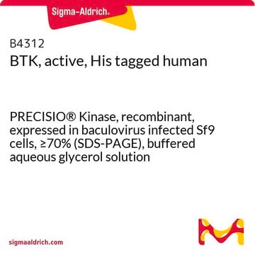 BTK, active, His tagged human PRECISIO&#174; Kinase, recombinant, expressed in baculovirus infected Sf9 cells, &#8805;70% (SDS-PAGE), buffered aqueous glycerol solution