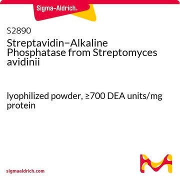 Streptavidin&#8722;alkalische Phosphatase aus Streptomyces avidinii lyophilized powder, &#8805;700&#160;DEA units/mg protein