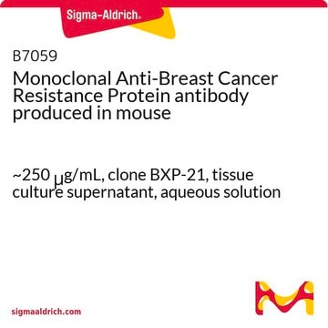 Monoclonal Anti-Breast Cancer Resistance Protein antibody produced in mouse ~250&#160;&#956;g/mL, clone BXP-21, tissue culture supernatant, aqueous solution