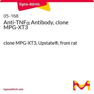 Anti-TNF&#945; Antibody, clone MPG-XT3 clone MPG-XT3, Upstate&#174;, from rat