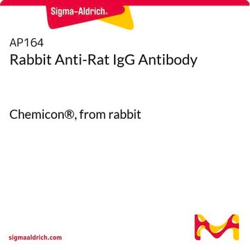 Anticorps de lapin anti-IgG de rat Chemicon&#174;, from rabbit