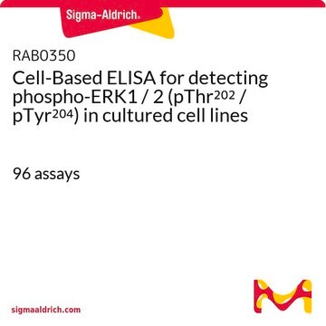 Cell-Based ELISA for detecting phospho-ERK1 / 2 (pThr202 / pTyr204) in cultured cell lines 96&#160;assays