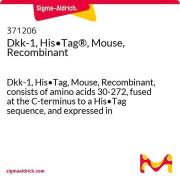 Dkk-1, His&#8226;Tag&#174;, Mouse, Recombinant Dkk-1, His&#8226;Tag, Mouse, Recombinant, consists of amino acids 30-272, fused at the C-terminus to a His&#8226;Tag sequence, and expressed in NS0-dervied mouse myeloma cells.