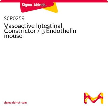 Vasoactive Intestinal Constrictor / &#946; Endothelin mouse