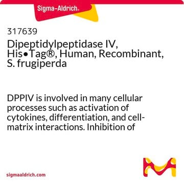 Dipeptidylpeptidase IV, His&#8226;Tag&#174;, Human, Recombinant, S. frugiperda DPPIV is involved in many cellular processes such as activation of cytokines, differentiation, and cell-matrix interactions. Inhibition of DPPIV has been reported to be an effective treatment for type II diabetes.