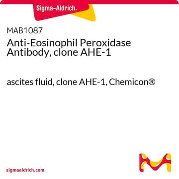 Anti-Eosinophil Peroxidase Antibody, clone AHE-1 ascites fluid, clone AHE-1, Chemicon&#174;