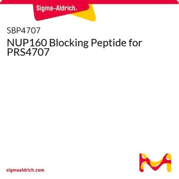 NUP160 Blocking Peptide for PRS4707