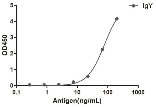 Alpaca Anti-Chicken IgY HRP single domain Antibody recombinant Alpaca(VHH) Nano antibody