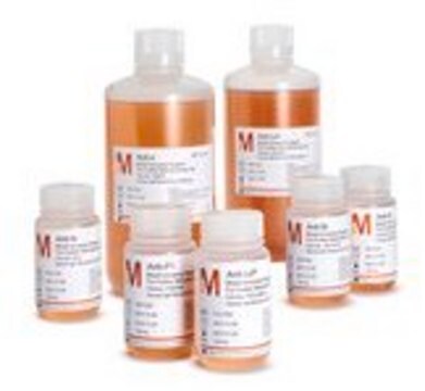 Intermediates For Further Manufacturing Use (FFMU) - Rare Specificities Anti-Lea from the clone P3N20V3, Human IgM, Intermediate for further manufacturing use