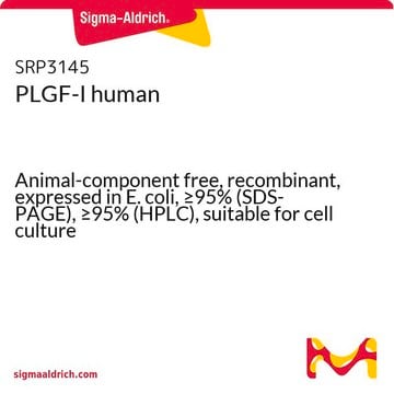 PLGF-I human Animal-component free, recombinant, expressed in E. coli, &#8805;95% (SDS-PAGE), &#8805;95% (HPLC), suitable for cell culture