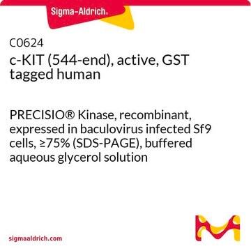 c-KIT (544-end), active, GST tagged human PRECISIO&#174; Kinase, recombinant, expressed in baculovirus infected Sf9 cells, &#8805;75% (SDS-PAGE), buffered aqueous glycerol solution