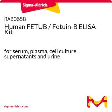 Human FETUB / Fetuin-B ELISA Kit for serum, plasma, cell culture supernatants and urine