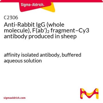 Anti-Rabbit IgG (whole molecule), F(ab&#8242;)2 fragment–Cy3 antibody produced in sheep affinity isolated antibody, buffered aqueous solution