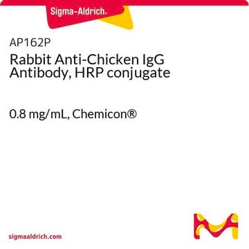 Rabbit Anti-Chicken IgG Antibody, HRP conjugate 0.8&#160;mg/mL, Chemicon&#174;