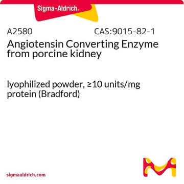 Angiotensin Converting Enzyme from porcine kidney lyophilized powder, &#8805;10&#160;units/mg protein (Bradford)