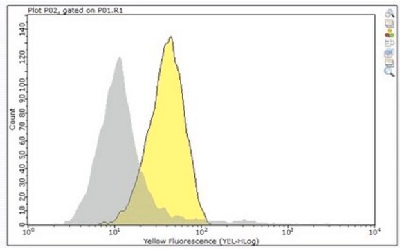 Anti-FGFR-4 Antibody, clone 29.2 culture supernatant, clone 29.2, from rabbit