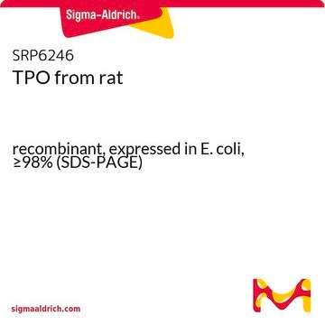 TPO from rat recombinant, expressed in E. coli, &#8805;98% (SDS-PAGE)